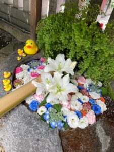 6月の