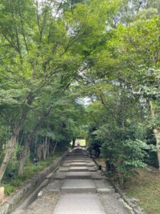 振り返り