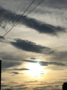 次回出勤は🌸