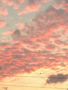 急っち。