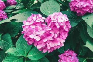 ちょうど1年。