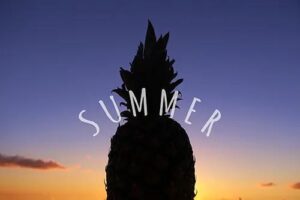 興奮気味に深夜更新。
