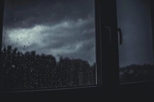 久しぶりの雨☔
