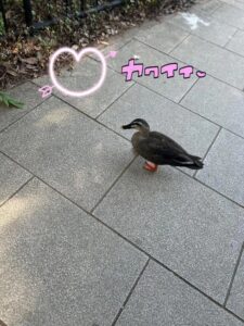 9月も終わり