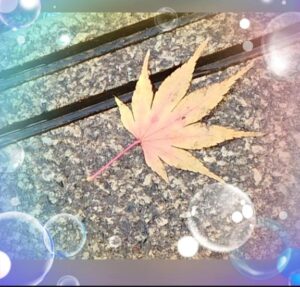 こんばんは
