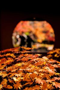 か⚪︎ち、せ⚪︎くすしよ。