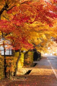 12月のラブソング。