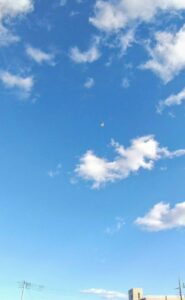 今年も仲良くして下さい✨