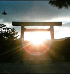 🎍新年ご挨拶🎍