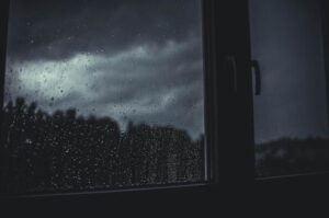 雨が止んで少し肌寒い…。