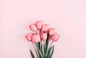 出勤2日目のお礼🌸