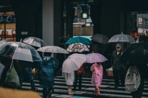 曇りから雨🌧️