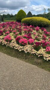 公園