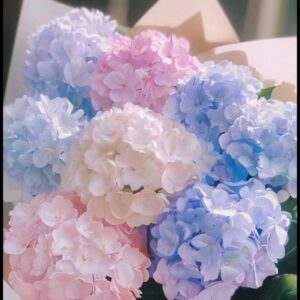 ♡雨の日のひとやすみに…♡