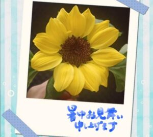 こんばんは