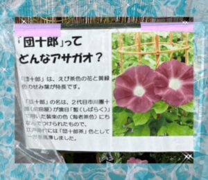 団十郎でした😊