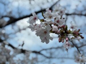 葉月、そして