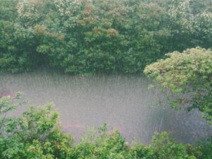 台風一過…🌀