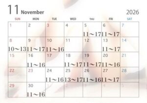 11月♡
